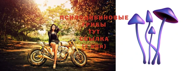 меф Заволжск